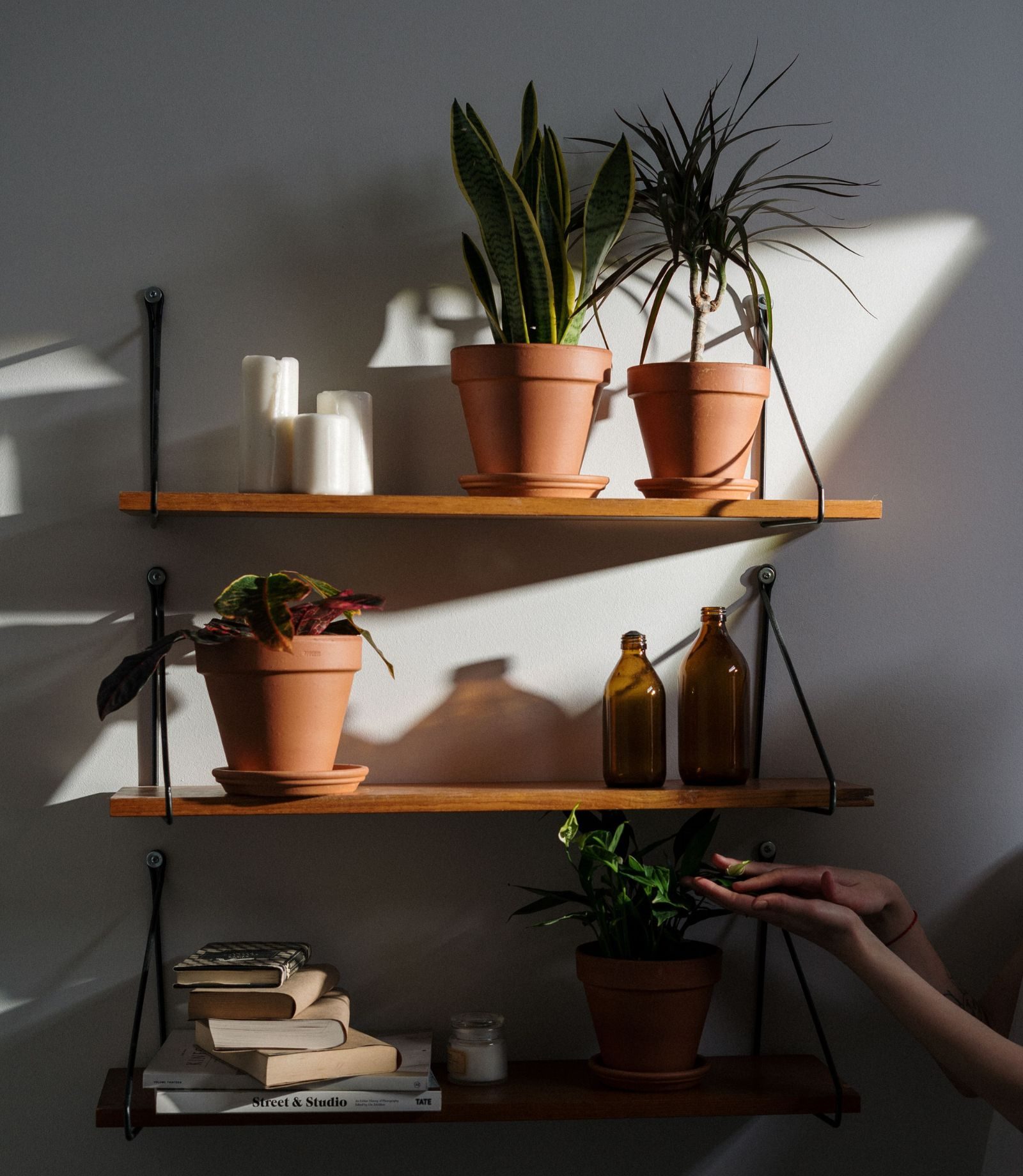 Wooden shelves in afternoon light: terracotta pots of plants, amber glass bottles, candles, and a hand reaching for a leaf